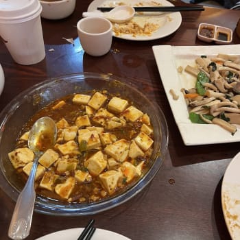 Bodhi Kosher Vegetarian Restaurant
