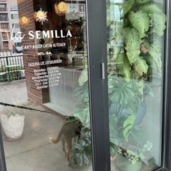 La Semilla