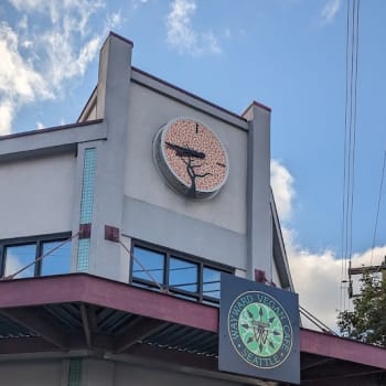 Wayward Vegan restaurant in Seattle